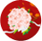 Ͽ Ǯ
